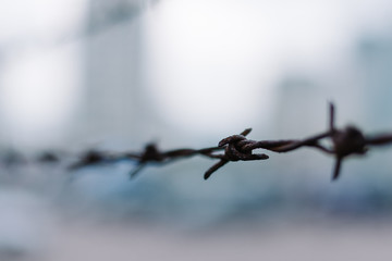 old rusty barbed wire close up