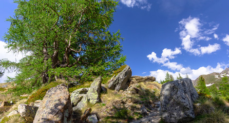 Trekking verso il Lago DEL Miage. Valle d'Aosta. Italia