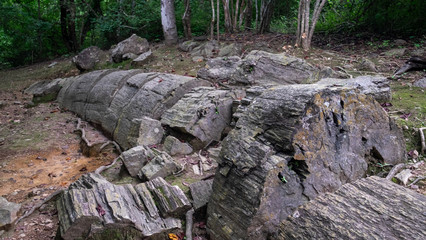 Petrified tree laying on the ground at Puganyo Petrified Forest, Ecuador