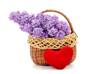 Fototapeta na wymiar Lilac in a basket with heart.