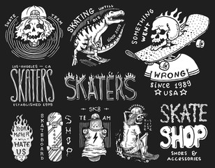 Skateboard shop badges set. Dinosaur and skeletons ride on the boards concept. Fiery head and skull. Vintage retro labels for t-shirts and typography. Hand Drawn engraved sketch.
