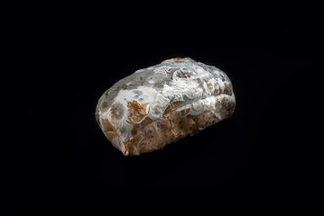 Beautiful moldy bread on black color background.healthy and food concepts