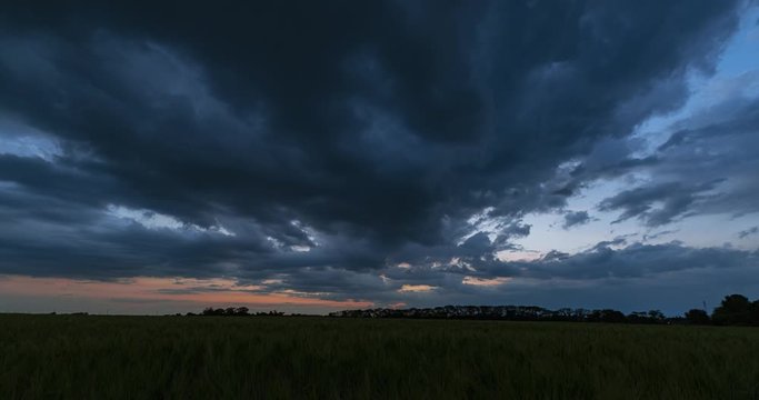 Beautiful time lapse  with spring wheat field and dark clouds during sunset