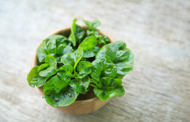 fresh watercress leaf in wooden bowl for healthy eating 