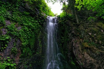Fototapeta na wymiar Long time exposure of waterfall in the forest
