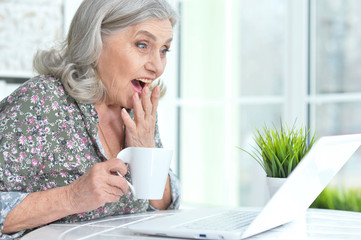 Beautiful senior woman using laptop at home