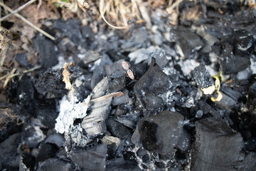 coal burning in the fireplace