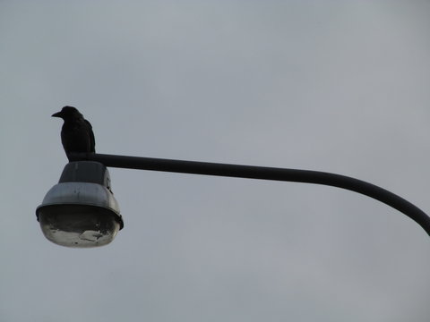 street lamp on blue sky