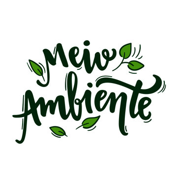 Meio Ambiente. Environment. Brazilian Portuguese Hand Lettering. Vector.  