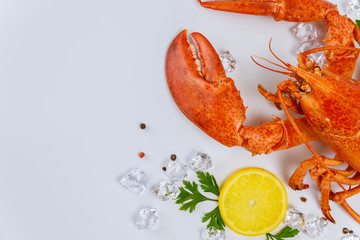 Tasty lobster crab with big claw on white background.