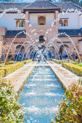 Fototapeta premium Granada, Spain - March 11, 2019: Gardens of Alhambra of Granada, Spain.