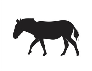 horse animal logo design illustration