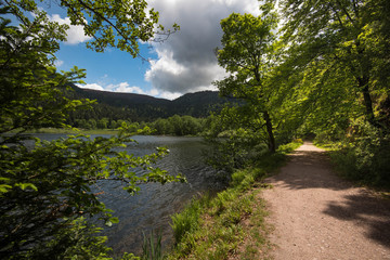 Lac de Retournemer in den Vogesen