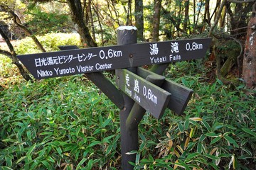 A trail marker in the middle of a hiking path