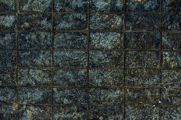 Textura de calçada de Pedra