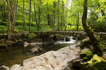 Naklejka premium Saut des cuves bei Xonrupt Longemer in den Vogesen