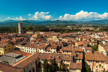 Fototapeta premium Lucca, Italy
