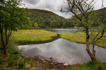 Moorsee Lac de Lispach in den Vogesen