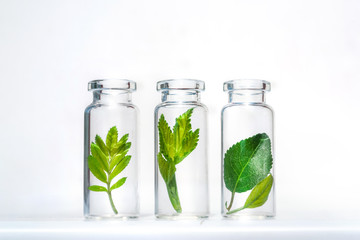 Bottles with herbs for natural essential oils and organic cosmetics on the white background. Concept of an eco laboratory for the production of natural products, supplement, cosmetics