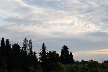 Behind my home