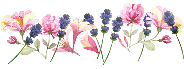 Watercolor hand painted nature floral line banner composition with pink honeysuckle, purple lavender blossom flowers and green leaves on branches bouquet on the white background for design elements