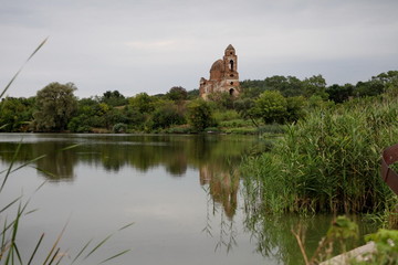 Landscape and nature on a summer day