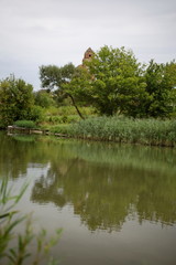 Landscape and nature on a summer day
