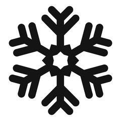 Frost snowflake icon. Simple illustration of frost snowflake vector icon for web design isolated on white background