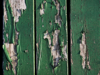 Old fallen green paint from wooden boards.