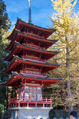 Japanese garden in San Francisco