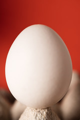 Farm white and brown chicken eggs, close-up in a paper tray for eggs and on a red and white background