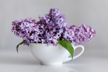 A bouquet of lilacs in a white tea cup