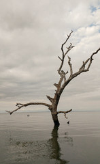 Rio Parana , Mato grosso