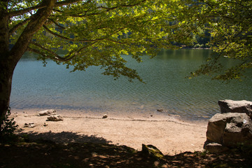 Lac des Corbeaux in den Vogesen in Frankreich