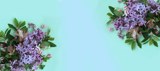 Purple Syringa flowers on a light green background. Delicate spring composition. Pastel colors. Background for greetings and postcards. © Olirina