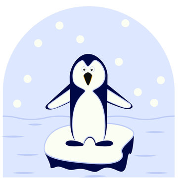 Funny penguin on an ice floe. Isolated vector image on a white background. Flat style.