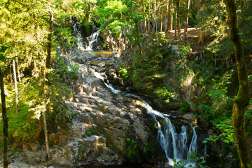 Wasserfall und Schlucht " Saut du Bouchot" in den Vogesen in Frankreich