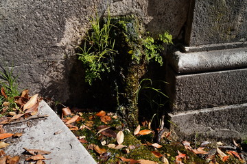 Quinta de Pesca do Marqês de Pombal