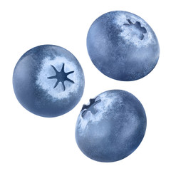 Flying blueberries, isolated on white background