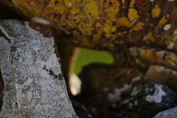Quinta de Pesca do Marqês de Pombal
