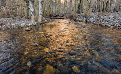 Golden Stream in the Sierra Nevadas