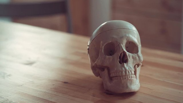 human artificial skull standing on a wooden table