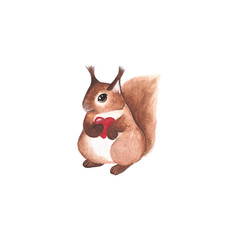 Character Squirrel for your business. Illustration can be used for books, stories, notebooks, advertising, social media, banners, and others.