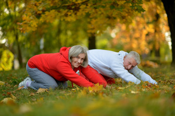 Naklejka na ściany i meble Portrait of fit senior couple exercising in park