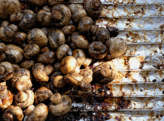 Barbecue mushrooms grilled on metal foil. Cooking concept. 