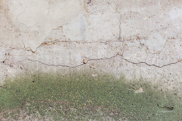 Naklejka premium Concrete wall with cracks and moss. Industrial grunge texture.