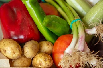 fresh raw vegetables. Vegetarian diet