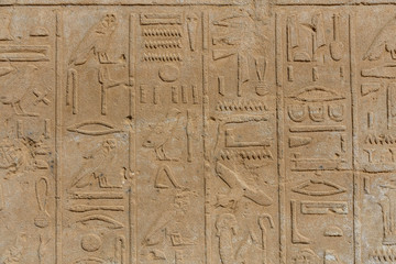 Fototapeta premium Egyptian ancient hieroglyphs on the stone wall
