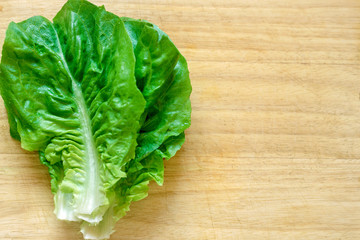 Romano lettuce closeup on blurred wooden board