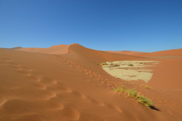 Fototapeta na wymiar Desert of Namibia
